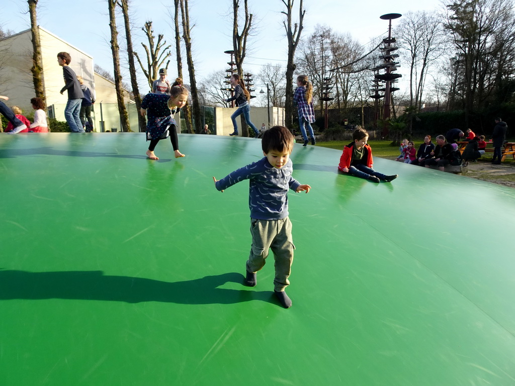 Max on the trampoline at the Ouwehands Dierenpark zoo