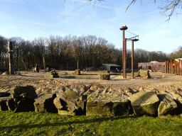 The outdoor Elephant enclosure at the Ouwehands Dierenpark zoo