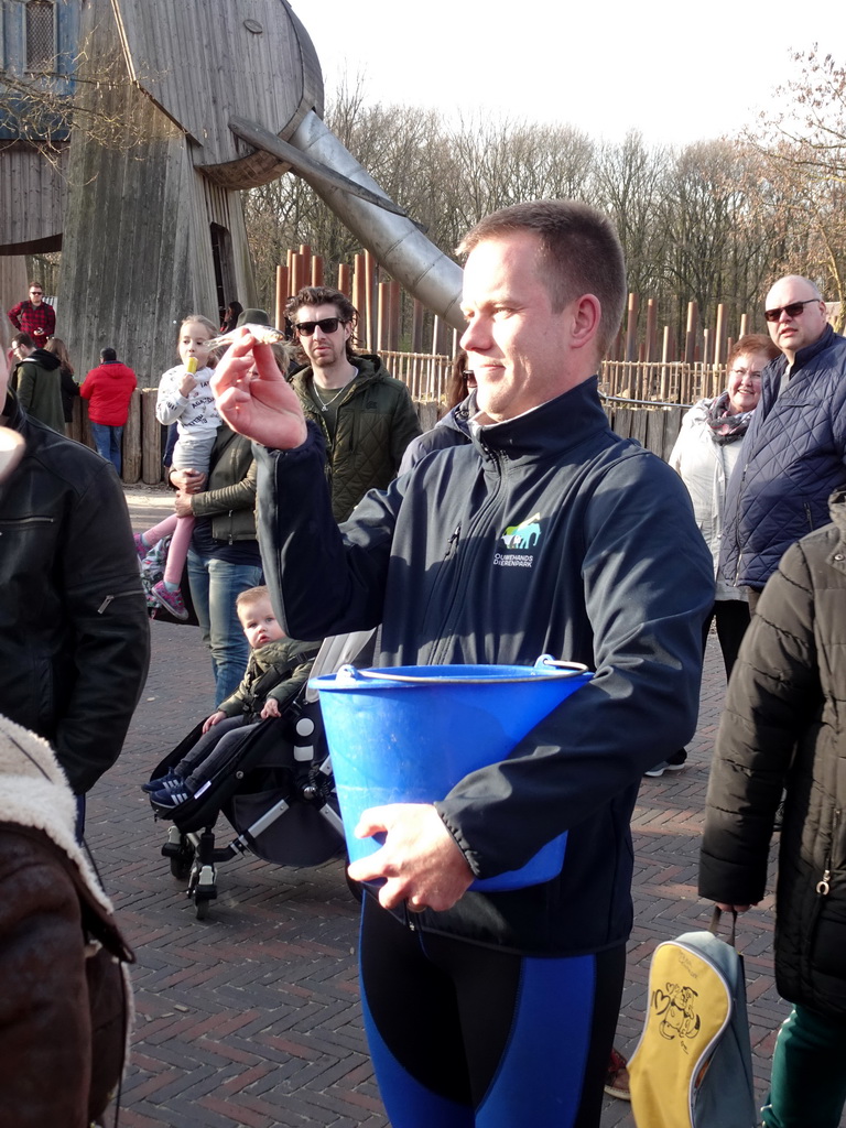 Zookeeper with fish for the Humboldt Penguins at the Ouwehands Dierenpark zoo