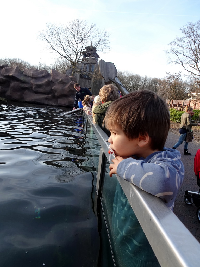 Max and a zookeeper feeding the Humboldt Penguins at the Ouwehands Dierenpark zoo