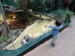 Max with a toy snake and a real snake at the Urucu building at the Ouwehands Dierenpark zoo