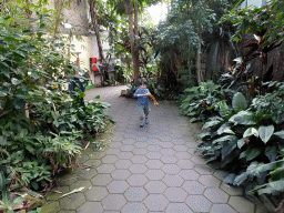 Max with a toy snake at the Urucu building at the Ouwehands Dierenpark zoo