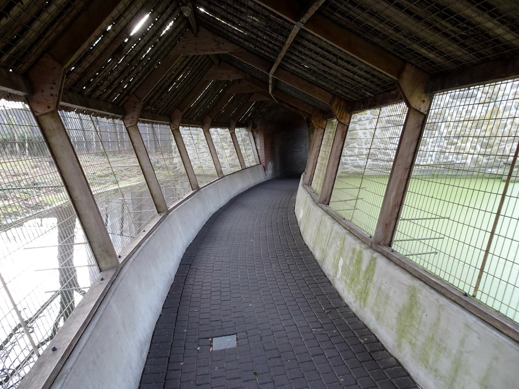 Walkway through the Tijgerbos at the Ouwehands Dierenpark zoo