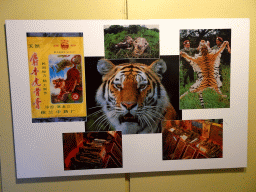 Photographs of Tiger products at the Tijgerbos at the Ouwehands Dierenpark zoo