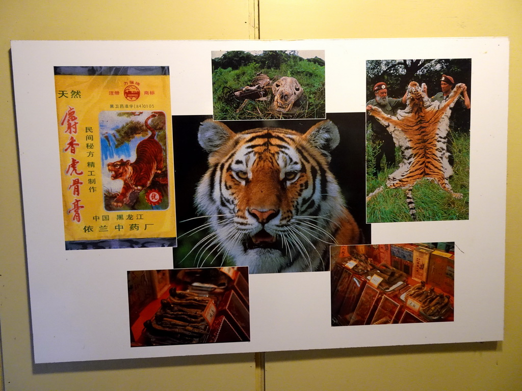 Photographs of Tiger products at the Tijgerbos at the Ouwehands Dierenpark zoo
