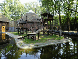 Mandrills at the Ouwehands Dierenpark zoo