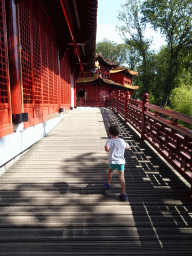 Max at the walkway around the residence of the Giant Panda `Wu Wen` at Pandasia at the Ouwehands Dierenpark zoo