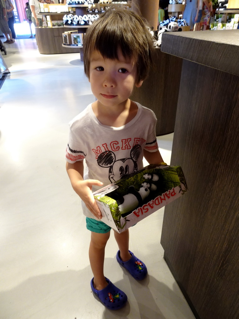 Max with Giant Panda toys at the Pandasia Giftshop on top of the residence of the Giant Panda `Xing Ya` at Pandasia at the Ouwehands Dierenpark zoo