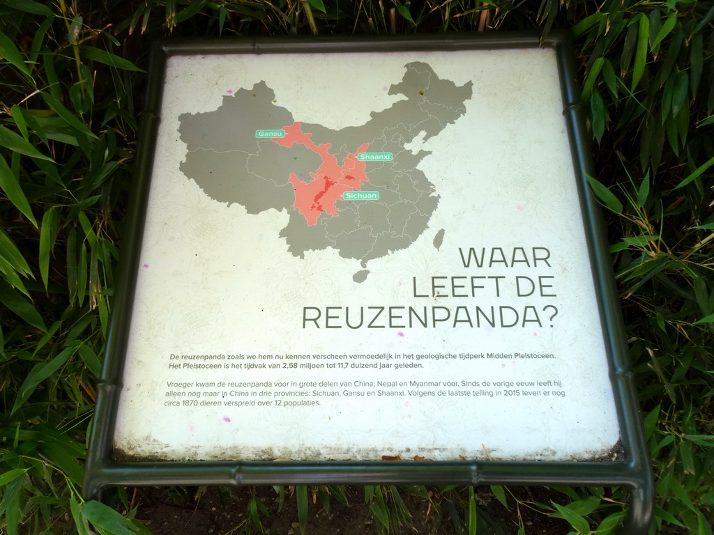 Information on the Giant Panda at Pandasia at the Ouwehands Dierenpark zoo