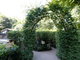 Entrance to the Bear Maze at the Karpatica village at the Ouwehands Dierenpark zoo