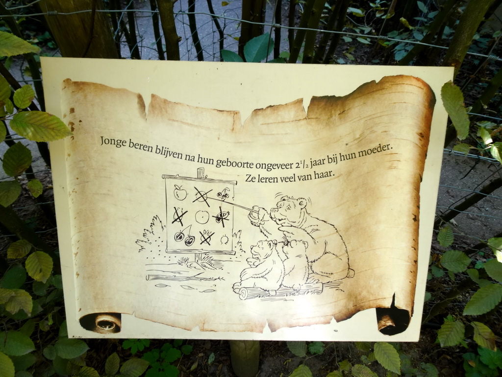 Information on Bears at the Bear Maze at the Karpatica village at the Ouwehands Dierenpark zoo