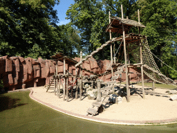 Barbary Macaques at the Ouwehands Dierenpark zoo