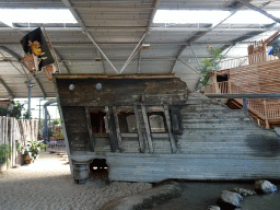 Shipwreck at the RavotAapia building at the Ouwehands Dierenpark zoo