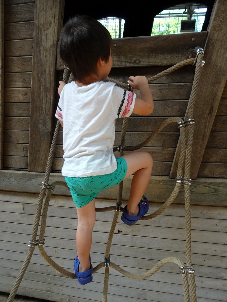 Max climbing to the shipwreck at the RavotAapia building at the Ouwehands Dierenpark zoo