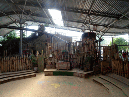 Amphitheatre at the RavotAapia building at the Ouwehands Dierenpark zoo