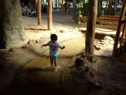 Max in a stream at the RavotAapia building at the Ouwehands Dierenpark zoo