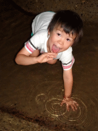 Max in a stream at the RavotAapia building at the Ouwehands Dierenpark zoo