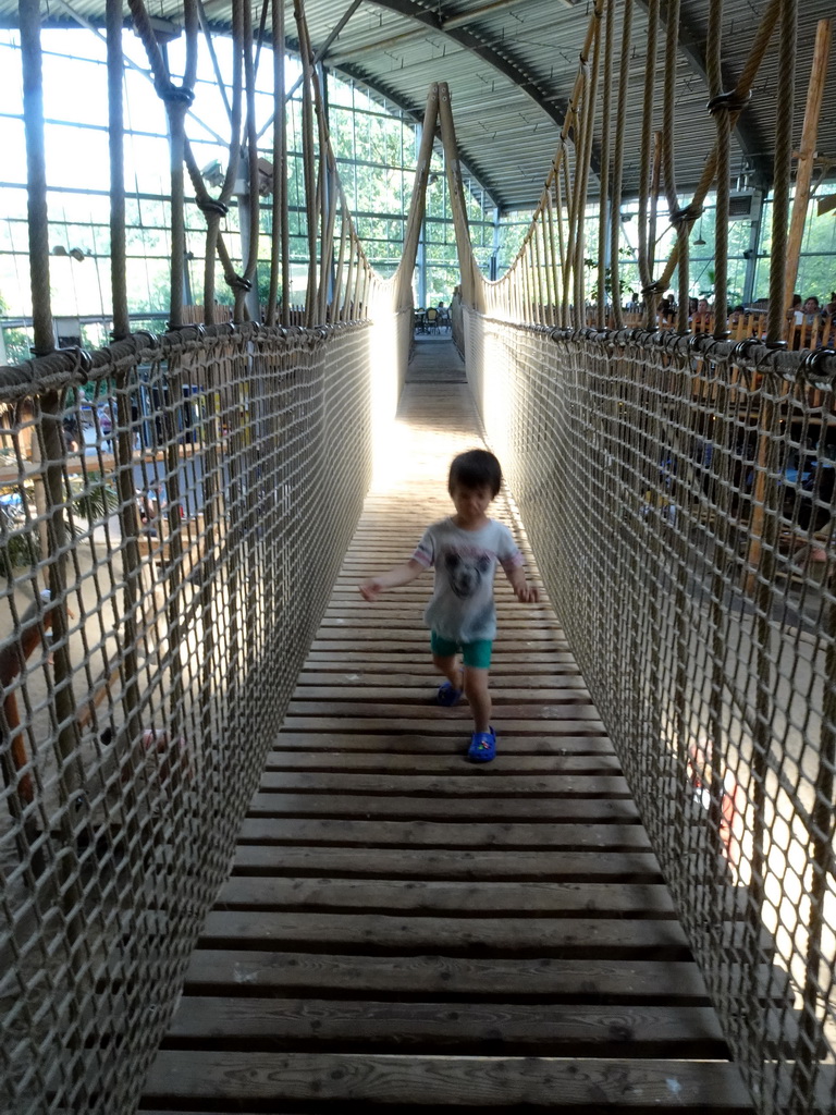 Max on the upper walkway at the RavotAapia building at the Ouwehands Dierenpark zoo