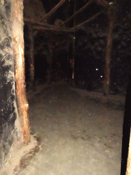 Interior of the Creepy Cavern at the RavotAapia building at the Ouwehands Dierenpark zoo