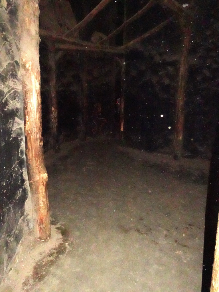 Interior of the Creepy Cavern at the RavotAapia building at the Ouwehands Dierenpark zoo