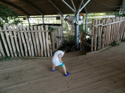 Max at the highest point of the RavotAapia building at the Ouwehands Dierenpark zoo