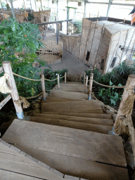 Staircase from the highest point of the RavotAapia building at the Ouwehands Dierenpark zoo