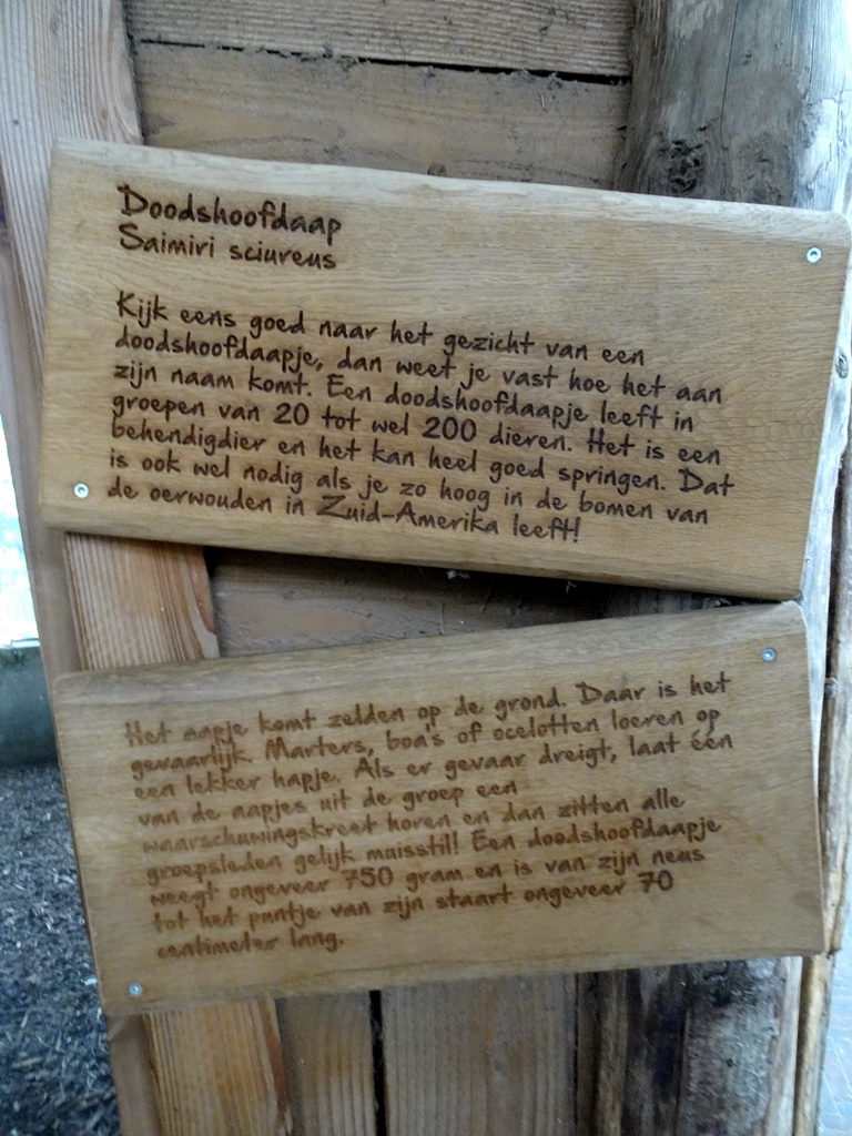 Information on the Squirrel Monkey at the RavotAapia building at the Ouwehands Dierenpark zoo