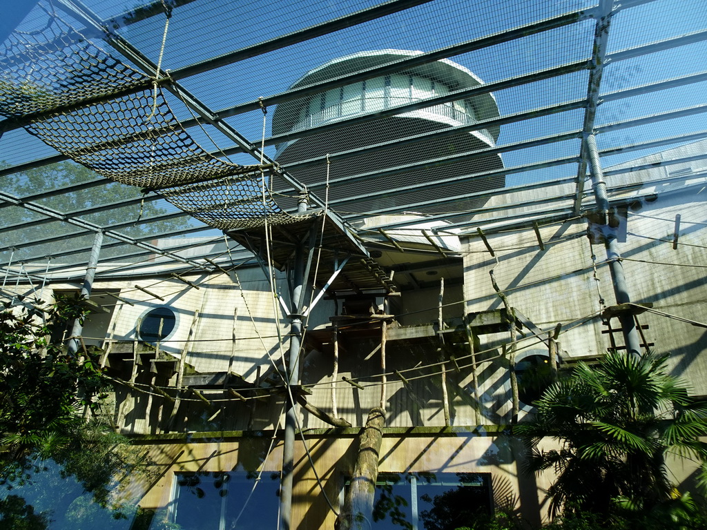 Enclosure of the Western Lowland Gorillas at the Gorilla Adventure at the Ouwehands Dierenpark zoo