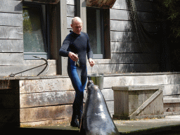 Zookeeper with a California Sea Lion at the Ouwehands Dierenpark zoo