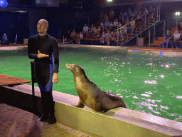 Zookeeper and a California Sea Lion at the Blue Lagoon Theatre at the Ouwehands Dierenpark zoo, during the Sea Lion show