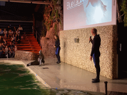 Zookeepers and a California Sea Lion at the Blue Lagoon Theatre at the Ouwehands Dierenpark zoo, during the Sea Lion show