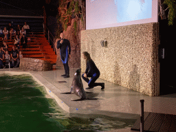 Zookeepers and a California Sea Lion at the Blue Lagoon Theatre at the Ouwehands Dierenpark zoo, during the Sea Lion show