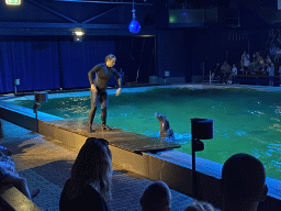 Zookeeper and a California Sea Lion at the Blue Lagoon Theatre at the Ouwehands Dierenpark zoo, during the Sea Lion show