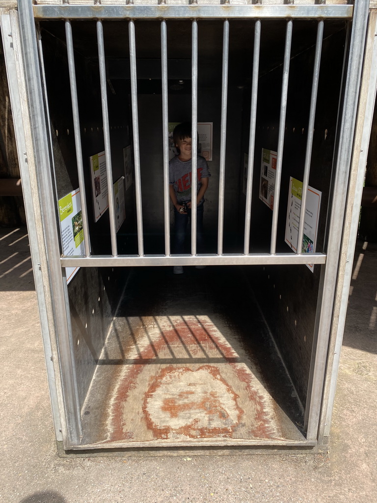 Max in a Bear cage at the Berenbos Expedition at the Ouwehands Dierenpark zoo