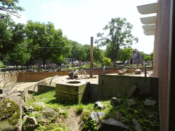 The African Elephant enclosure at the Ouwehands Dierenpark zoo