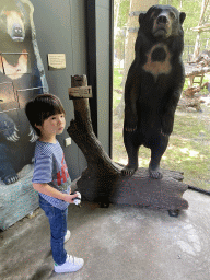Max with a stuffed Sun Bear at the information center of the Sun Bears at the Ouwehands Dierenpark zoo