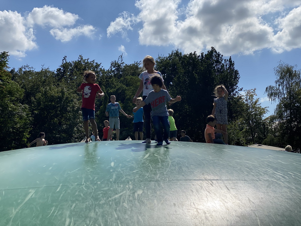 Max on the trampoline at the Ouwehands Dierenpark zoo