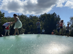 Max on the trampoline at the Ouwehands Dierenpark zoo