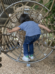 Max on a rope bridge at the RavotAapia building at the Ouwehands Dierenpark zoo