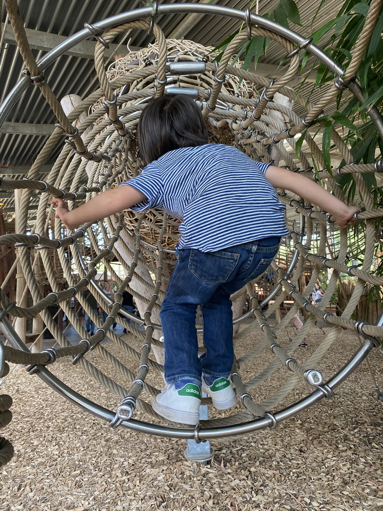 Max on a rope bridge at the RavotAapia building at the Ouwehands Dierenpark zoo