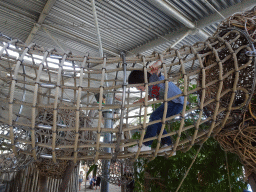 Max on a rope bridge at the RavotAapia building at the Ouwehands Dierenpark zoo