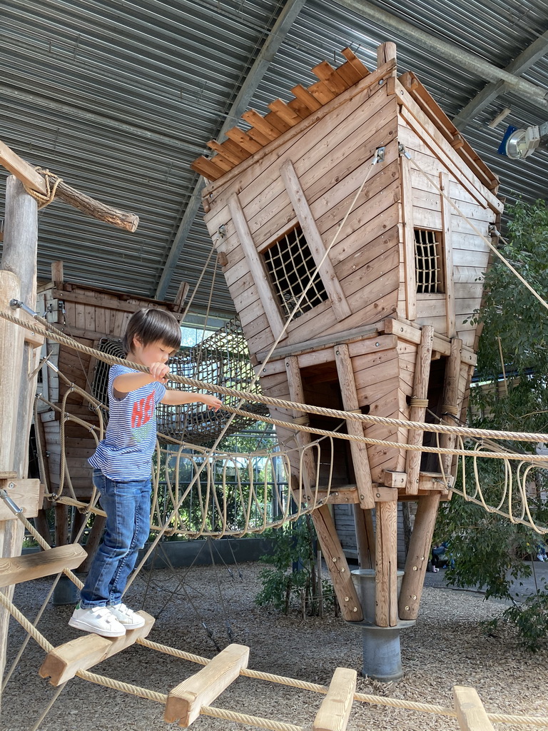 Max on a rope bridge at the RavotAapia building at the Ouwehands Dierenpark zoo