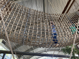 Max on a rope bridge at the RavotAapia building at the Ouwehands Dierenpark zoo