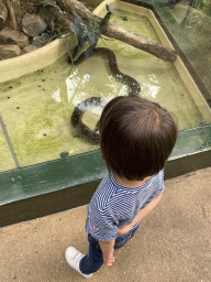Max with a snake at the Urucu building at the Ouwehands Dierenpark zoo