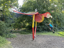 Parrot playground at the Ouwehands Dierenpark zoo