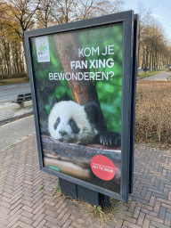 Poster with the young Giant Panda `Fan Xing` in front of the entrance to the Ouwehands Dierenpark zoo at the Grebbeweg road