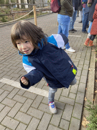 Max in the waiting line for the Giant Pandas at the Ouwehands Dierenpark zoo