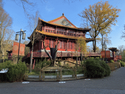 Residence of the Giant Panda `Wu Wen` at Pandasia at the Ouwehands Dierenpark zoo