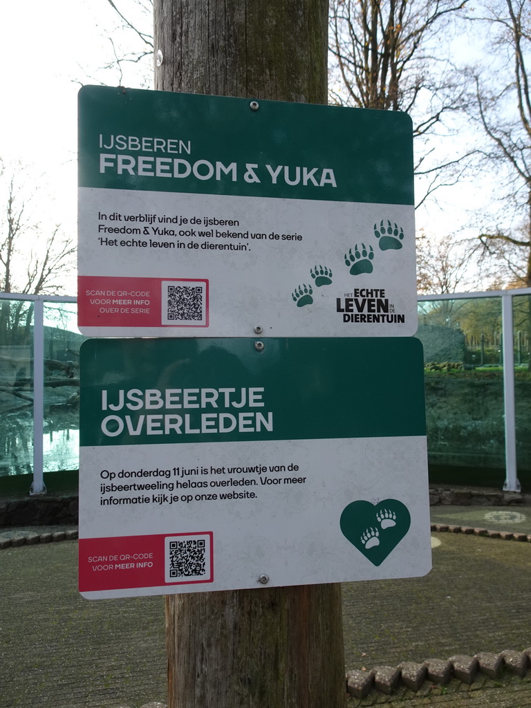 Information on the Polar Bears `Freedom` and `Yuka` and a young Polar Bear that died, at the Ouwehands Dierenpark zoo