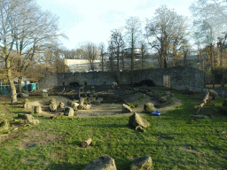 Polar Bears at the Ouwehands Dierenpark zoo